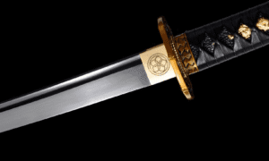 Akikaze Wakizashi (赤風) – Medený Vietor