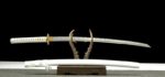 Biela Katana