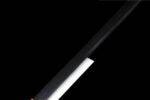 Shinobu Katana