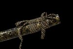 Nureha Katana Meč (濡葉) – Mokré Listy