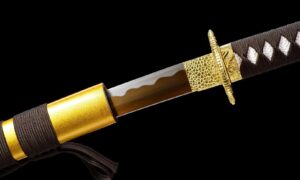 Ōgonryū Katana Meč (黄金龍) – Zlatý Drak
