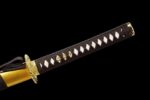 Ōgonryū Katana Meč (黄金龍) – Zlatý Drak