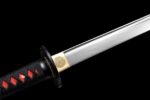 Ryūkage Ninjato (龍影) – Dračí Tieň