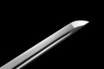 Ryūkage Ninjato (龍影) – Dračí Tieň