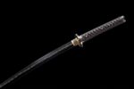 Seimei No Inazuma Katana Meč (生命の稲妻) – Blesk Života