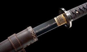 Seimei No Inazuma Katana Meč (生命の稲妻) – Blesk Života
