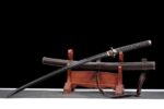 Seimei No Inazuma Katana Meč (生命の稲妻) – Blesk Života
