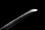 Seimei No Inazuma Katana Meč (生命の稲妻) – Blesk Života