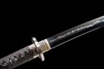 Seimei No Inazuma Katana Meč (生命の稲妻) – Blesk Života