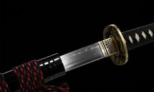 Tenshin Katana Meč (天心) – Nebeské Srdce